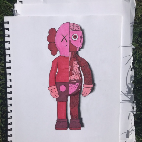 Meet your Posher, Connor - Picture 3 of 4